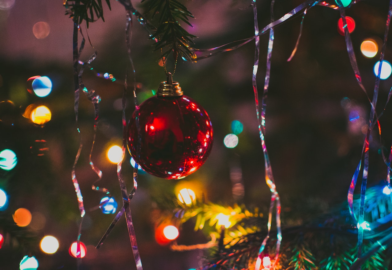 Christmas lights hanging on outdoor tree.